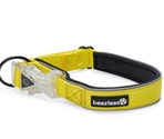 Beeztees zgardă reflectorizantă cu lumini Premium PARINCA Yellow 50×25