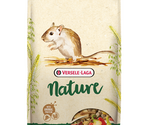 Gerbil Nature