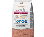 MONGE DRY DOG EX. SMALL ADULT SALMONE/RICE