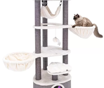 PETREBELS KINGS & QUEENS Catharina 160 Cream