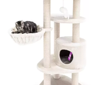PETREBELS KINGS & QUEENS Charlotte 134 Cream
