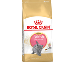 ROYAL CANIN BRITISH SHORTHAIR KITTEN