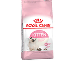 ROYAL CANIN KITTEN