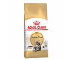 ROYAL CANIN MAINE COON ADULT