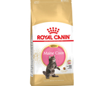 ROYAL CANIN MAINE COON KITTEN