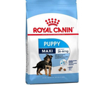 ROYAL CANIN MAXI PUPPY