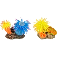 Decor din plastic Leo Anemone As.