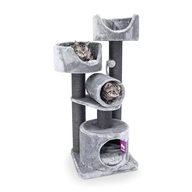 PR Kings & Queens Victoria 125 Grey