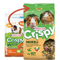 Crispy Muesli Guinea Pigs
