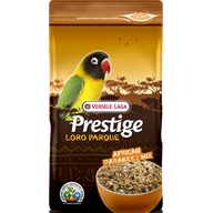 African Parakeet Mix Loro Paraque