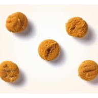 Antos Insecta Nibbles Mealworm & Pumpkin