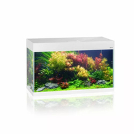 Aquael Аквариум OPTI SET 125 White 2.0