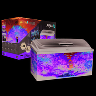 Aquarium Set AQUA4HOME 100 RECT