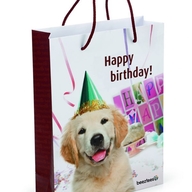 BEEZTEES   BZ пакет подарочный “HAPPY BIRTHDAY”