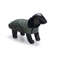 BEEZTEES Куртка ZHANTI Green