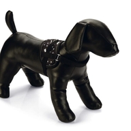 BEEZTEES Шлейка-мини THUNDER Black 15×31-40cm