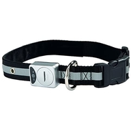 BEEZTEES ошейник светящийся 30-45х15