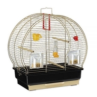 Colivie Luna 2 ANTIQUE BRASS