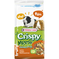 Crispy Muesli Guinea Pigs