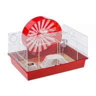 Cușcă CONEY ISLAND