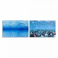 FERPLAST задний фон 80х40 BLU 9047