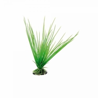 FERPLAST пластик. растение ACORUS 8″ BLU 9057