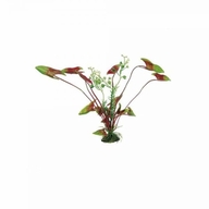 FERPLAST пластик. растение NINPHAEA 12″ BLU 9063