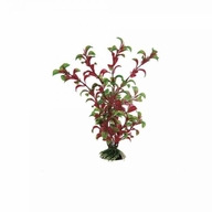 FERPLAST пластик. растение ROTALA 12″