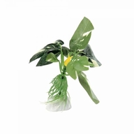 FERPLAST пластик. растение SILK AUBIAS 4