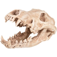Flamingo Декор пластиковый SKELO SKULL PREDATOR