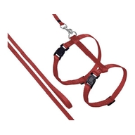Flamingo Шлейка с поводком ZIGGI 20-35cm