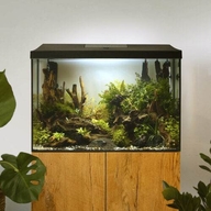 AQUAEL Aquarium set LEDDY 60 D&N 2.0