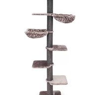 PETREBELS KINGS & QUEENS Alexis 224 Cappuccino