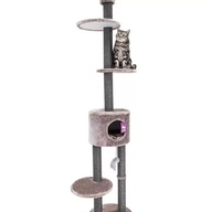 PETREBELS KINGS & QUEENS Anna 240 Cappuccino