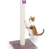 PETREBELS LITTLE REBELS MAINE 90 Cappuccino