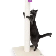 PETREBELS LITTLE REBELS MAINE 90 Cream