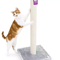 PETREBELS LITTLE REBELS MAINE 90