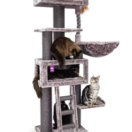 PETREBELS Lucky Bastards Parklane 175 Cappuccino