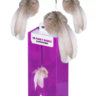 PETREBELS More FUNKY REBELS 3X Cappuccino