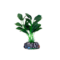 Пластик. растение BRASIL Plant1