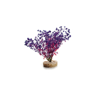 Растение пластик. Aqa Friend Wild Plant