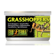 Exo Terra Grasshoppers — консервированные кузнечики для рептилий