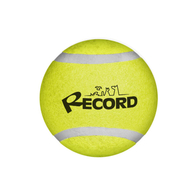 Record Мяч теннисный TENNIS FUN