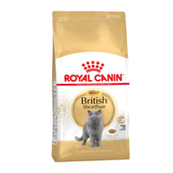 ROYAL CANIN BRITISH SHORTHAIR ADULT