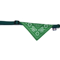 Zgardă cu eșarfă BANDANA 1,6x30-45cm