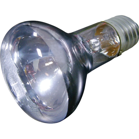 Flamingo Лампа дневного света DAYLIGHT SPOT JOULE – 100W