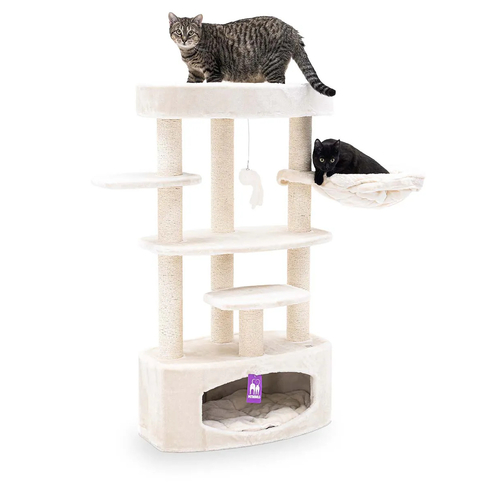 PR Kings & Queens Alexandra 127 Cream