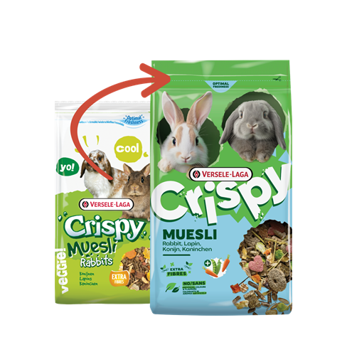 Crispy Muesli Rabbits