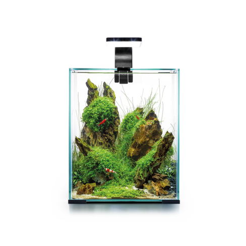 Aquael Acvariu SHRIMP SET SMART D&N 20