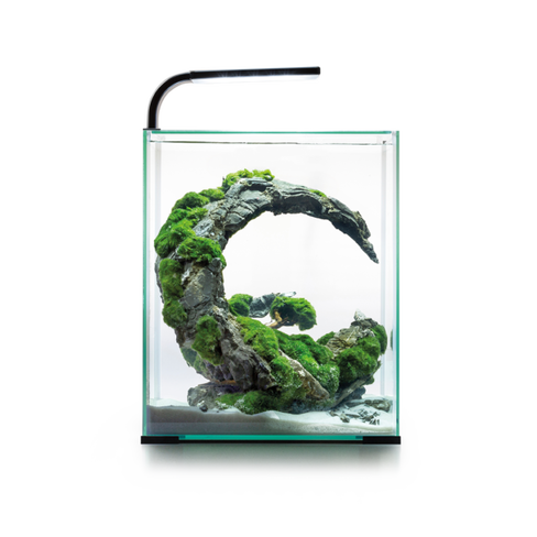 Aquael Acvariu SHRIMP SET SMART D&N 30